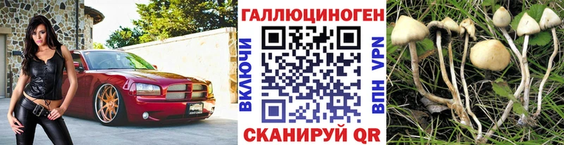 наркотики  OMG   Псилоцибиновые грибы Psilocybe  Бахчисарай 