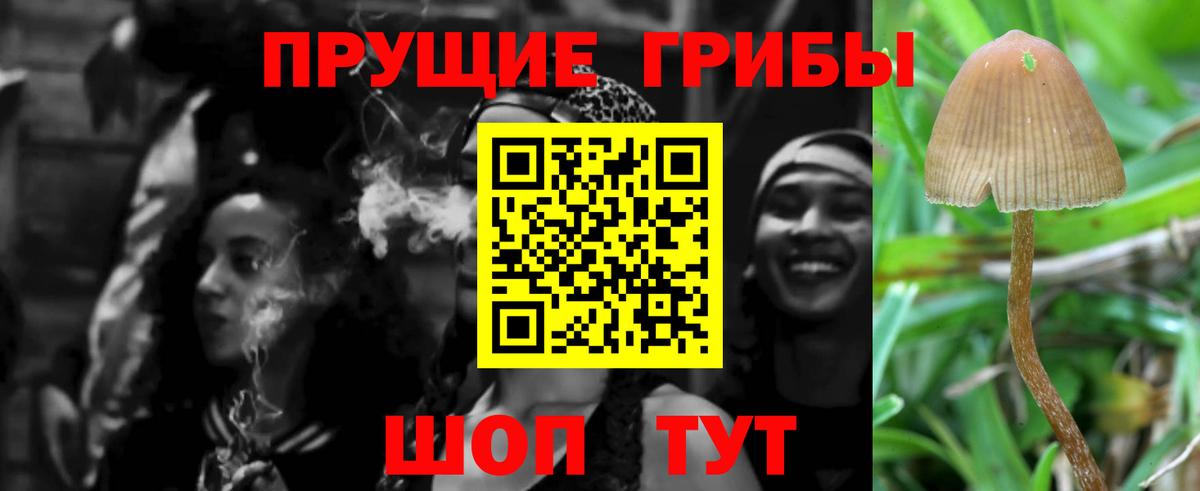 Псилоцибиновые грибы MAGIC MUSHROOMS Бахчисарай